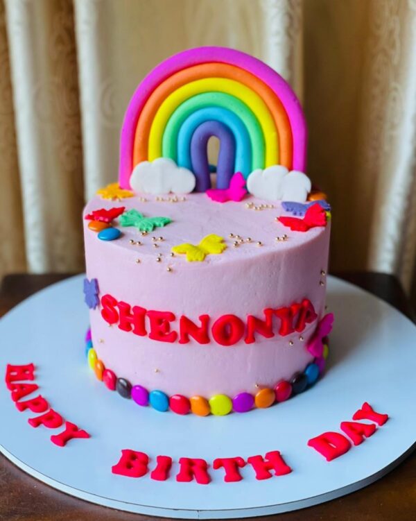 Rainbow Butterfly Cake