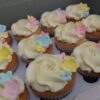 Vanilla Cupcakes